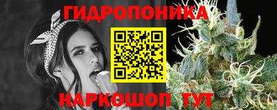 индика Моздок