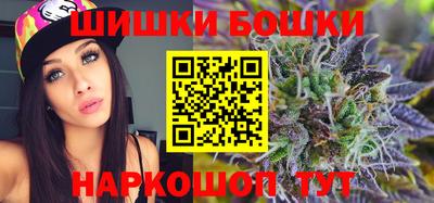 индика Моздок