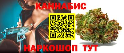 индика Моздок